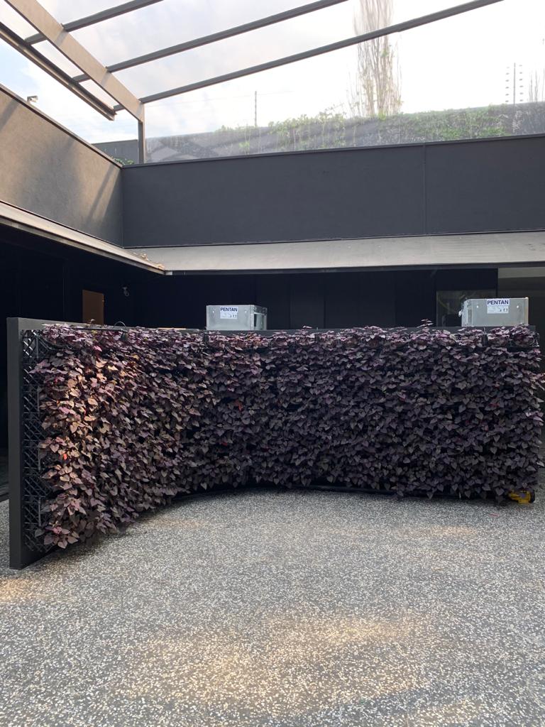 Jardim vertical com folhagem roxa em área externa