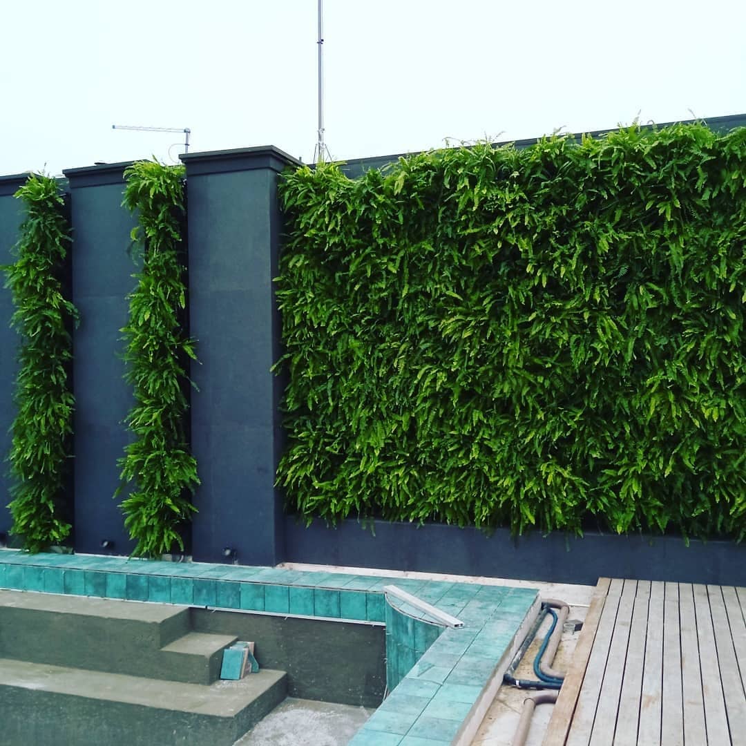 Jardim vertical em cobertura com piscina