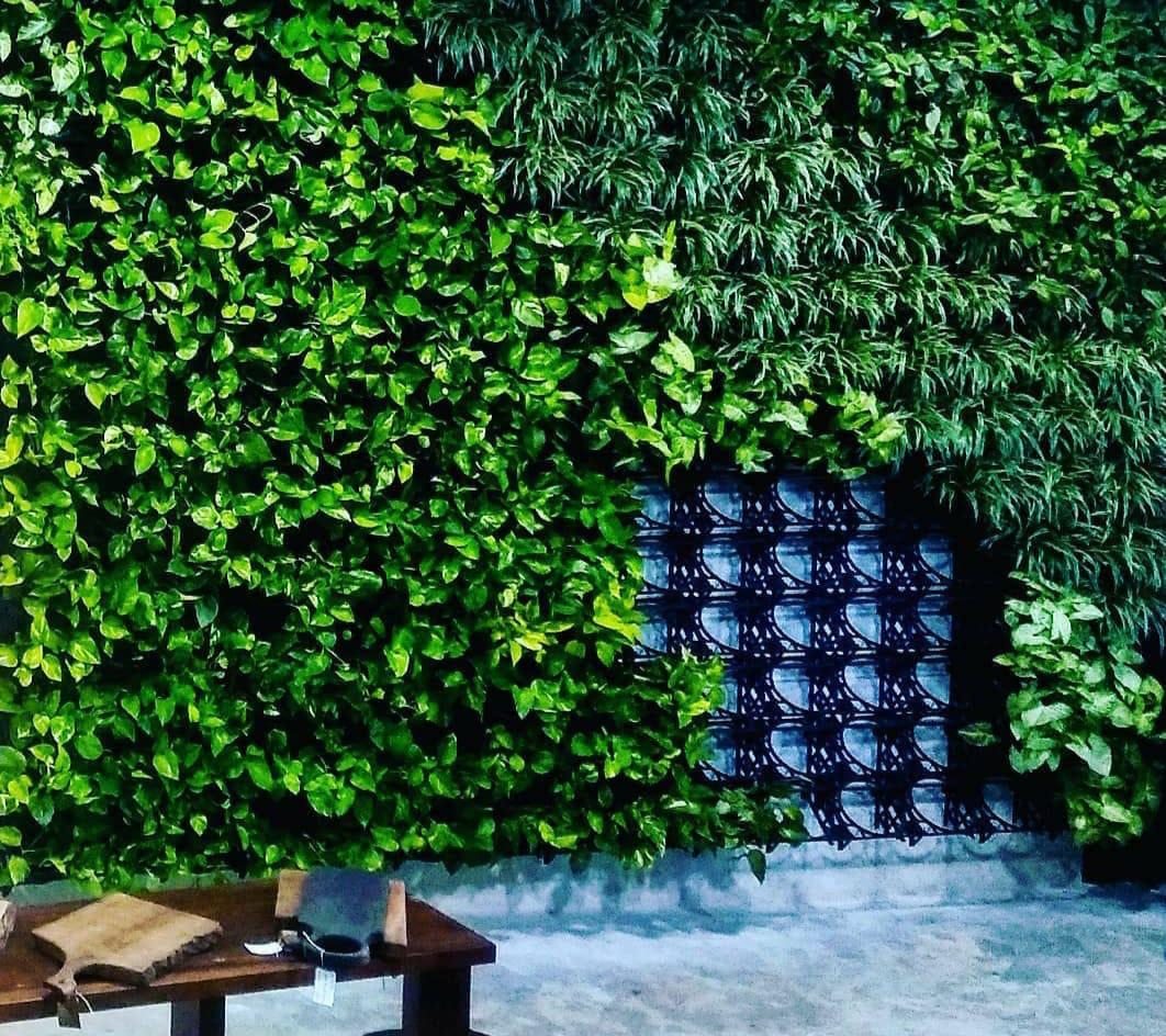 Jardim vertical com composição de espécies